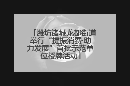 潍坊诸城龙都街道举行“提振消费·助力发展”首批示范单位授牌活动