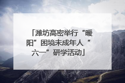 潍坊高密举行“暖阳”困境未成年人“六一”研学活动