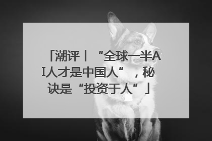 潮评丨“全球一半AI人才是中国人”，秘诀是“投资于人”