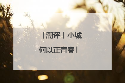 潮评丨小城何以正青春