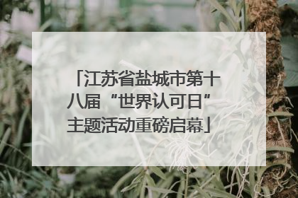 江苏省盐城市第十八届“世界认可日”主题活动重磅启幕
