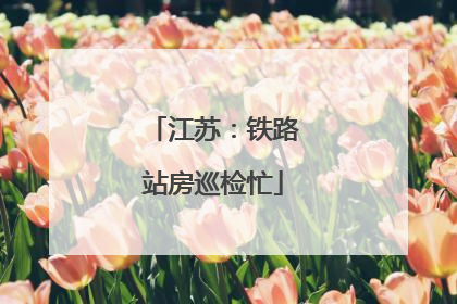 江苏：铁路站房巡检忙