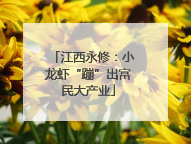 江西永修：小龙虾“蹦”出富民大产业