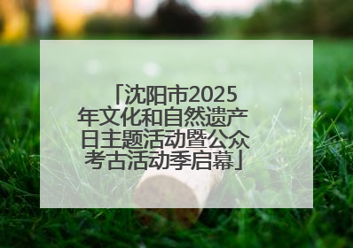 沈阳市2025年文化和自然遗产日主题活动暨公众考古活动季启幕