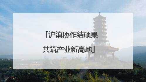 沪滇协作结硕果 共筑产业新高地