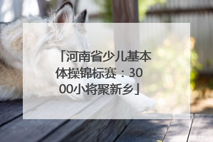 河南省少儿基本体操锦标赛：3000小将聚新乡