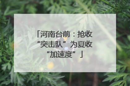 河南台前：抢收“突击队”为夏收“加速度”