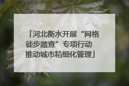 河北衡水开展“网格徒步踏查”专项行动 推动城市精细化管理