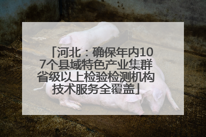 河北：确保年内107个县域特色产业集群省级以上检验检测机构技术服务全覆盖