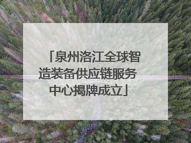 泉州洛江全球智造装备供应链服务中心揭牌成立