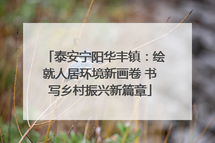 泰安宁阳华丰镇：绘就人居环境新画卷 书写乡村振兴新篇章