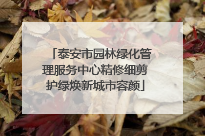 泰安市园林绿化管理服务中心精修细剪护绿焕新城市容颜