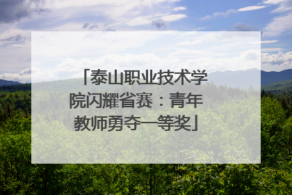 泰山职业技术学院闪耀省赛：青年教师勇夺一等奖