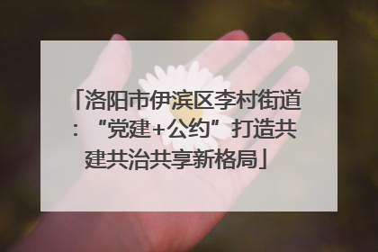洛阳市伊滨区李村街道：“党建+公约”打造共建共治共享新格局