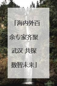 海内外百余专家齐聚武汉 共探数智未来