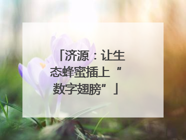 济源：让生态蜂蜜插上“数字翅膀”