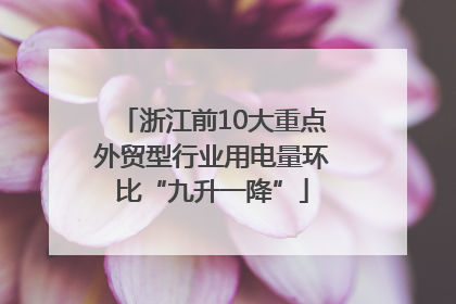 浙江前10大重点外贸型行业用电量环比“九升一降”