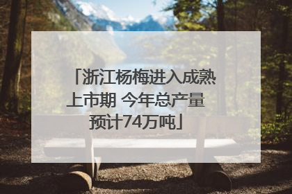 浙江杨梅进入成熟上市期 今年总产量预计74万吨