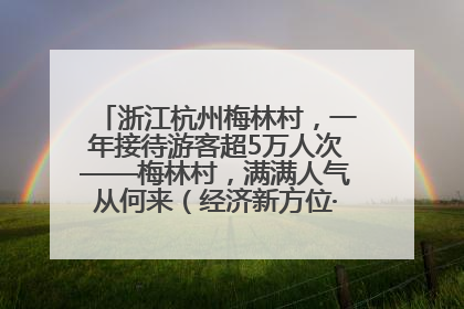 浙江杭州梅林村，一年接待游客超5万人次——梅林村，满满人气从何来（经济新方位·农村消费观察）