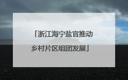 浙江海宁盐官推动乡村片区组团发展