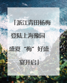 浙江青田杨梅登陆上海豫园 盛夏“梅”好盛宴开启