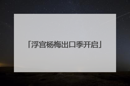 浮宫杨梅出口季开启