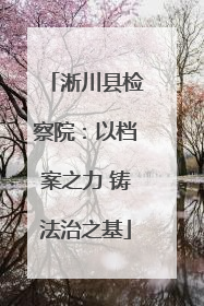 淅川县检察院：以档案之力 铸法治之基