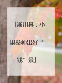 淅川县：小果桑种出好“钱”景