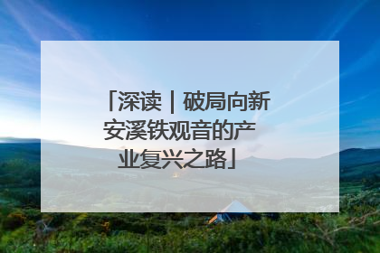 深读｜破局向新 安溪铁观音的产业复兴之路