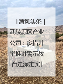 清风头条｜武陵源区产业公司：多措并举推进警示教育走深走实