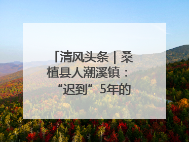 清风头条｜桑植县人潮溪镇：“迟到”5年的生态林补偿金