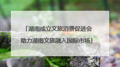 湖南成立文旅消费促进会 助力湖南文旅融入国际市场