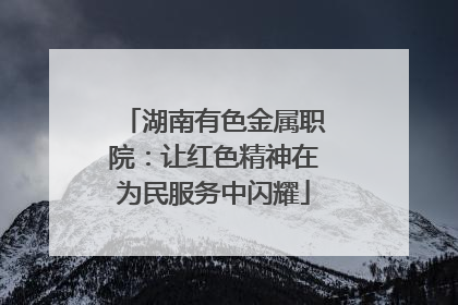 湖南有色金属职院：让红色精神在为民服务中闪耀