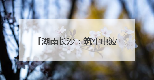 湖南长沙：筑牢电波防线，全力护航第四届中非经贸博览会