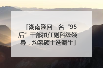 湖南隆回三名“95后”干部拟任副科级领导，均系硕士选调生