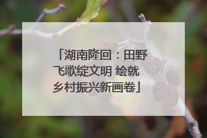 湖南隆回：田野飞歌绽文明 绘就乡村振兴新画卷