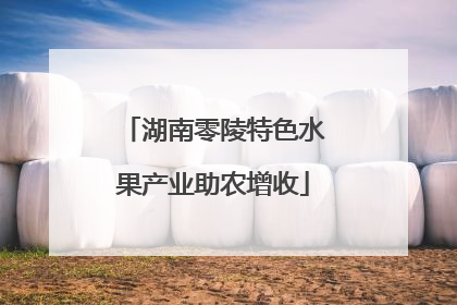 湖南零陵特色水果产业助农增收