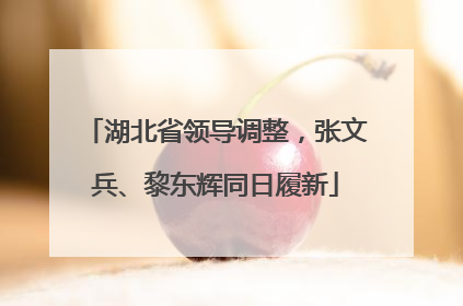 湖北省领导调整，张文兵、黎东辉同日履新
