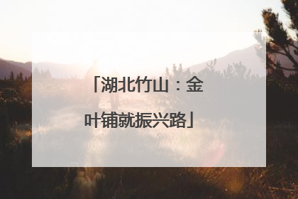 湖北竹山：金叶铺就振兴路