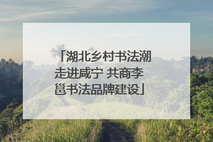 湖北乡村书法潮走进咸宁 共商李邕书法品牌建设