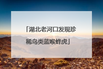 湖北老河口发现珍稀鸟类蓝喉蜂虎