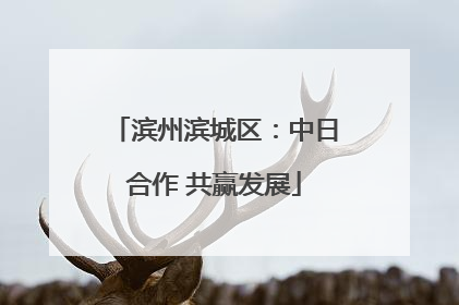 滨州滨城区：中日合作 共赢发展