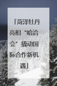 菏泽牡丹亮相“哈洽会”撬动国际合作新机遇