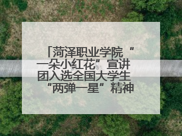 菏泽职业学院“一朵小红花”宣讲团入选全国大学生“两弹一星”精神宣讲团
