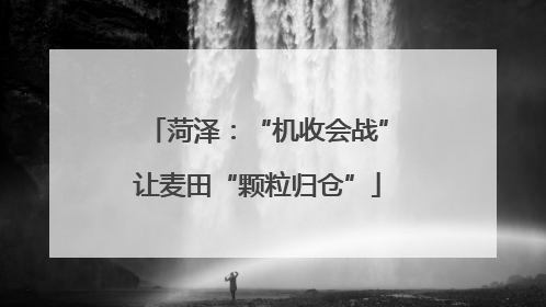 菏泽：“机收会战”让麦田“颗粒归仓”