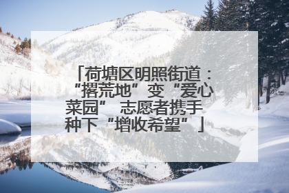 荷塘区明照街道：“撂荒地”变“爱心菜园” 志愿者携手种下“增收希望”