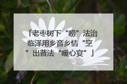 老枣树下“唠”法治 临泽用乡音乡情“烹”出普法“暖心宴”