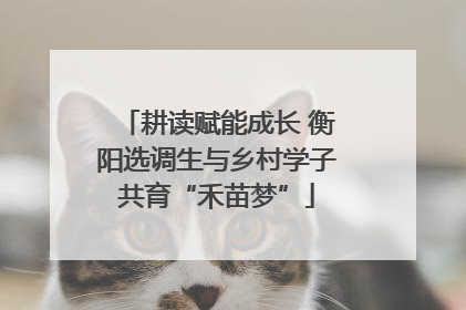 耕读赋能成长 衡阳选调生与乡村学子共育“禾苗梦”