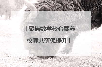 聚焦数学核心素养 校际共研促提升