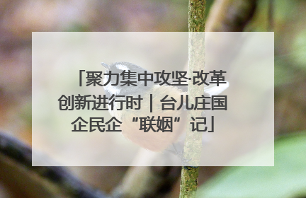 聚力集中攻坚·改革创新进行时｜台儿庄国企民企“联姻”记